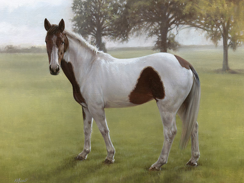 Horse Oil Portrait of Gypsy