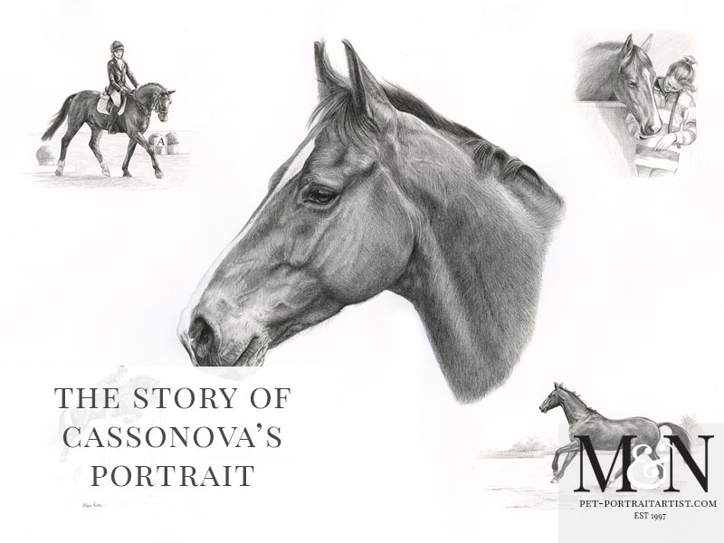 Horse Montage Pencil Portrait of Casanova