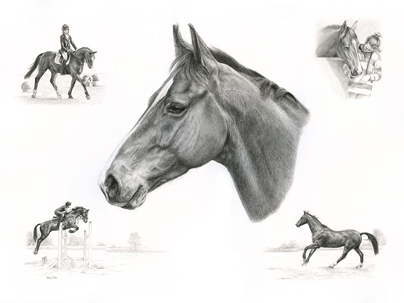 Horse Montage Pencil Portrait of Casanova