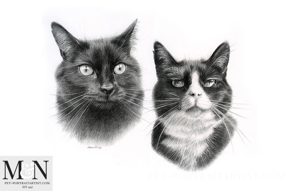 Cat Pet Portraits Pixie and Boots