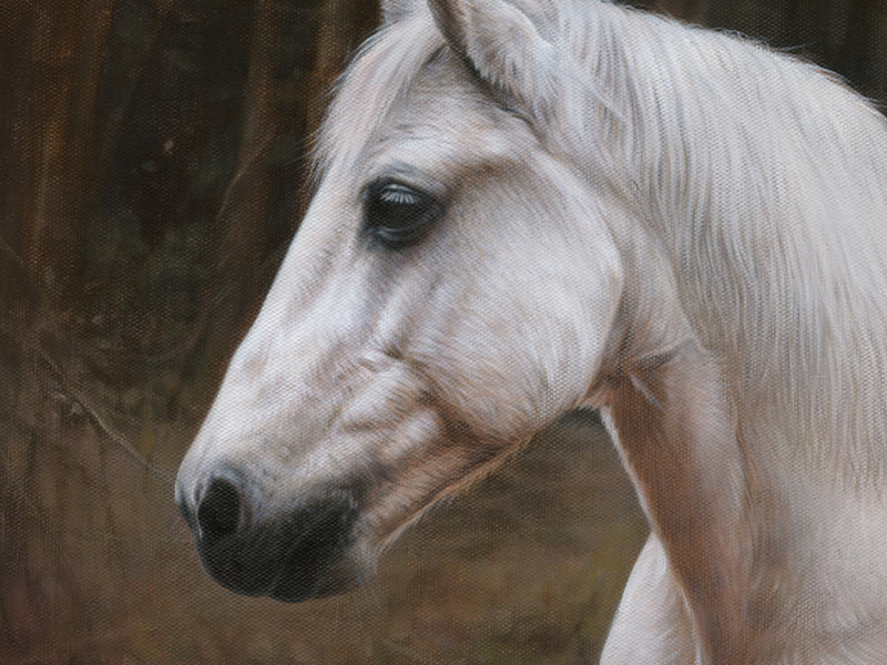 Horse Oil Painting of Chico