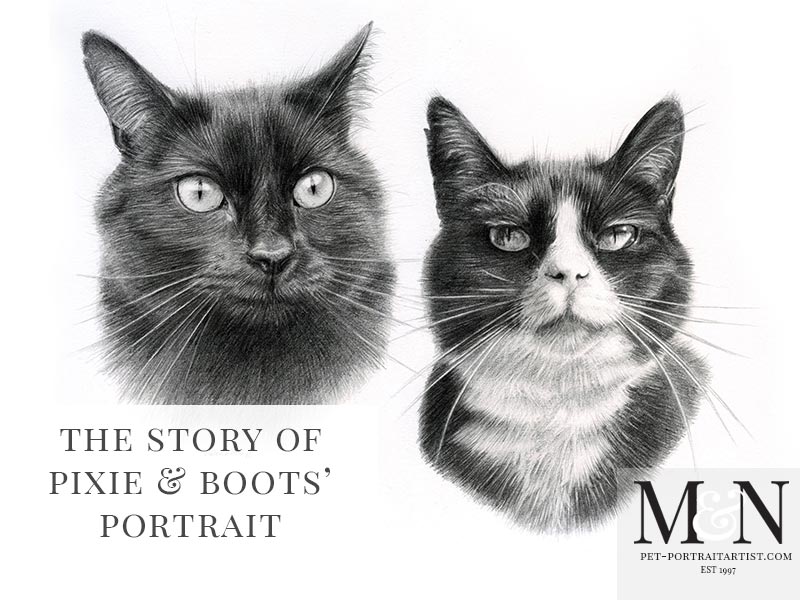 Cat Pet Portraits Pixie and Boots