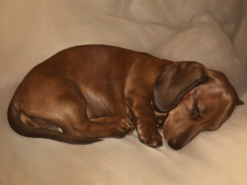 Dachshund Oil Painting of Lilly