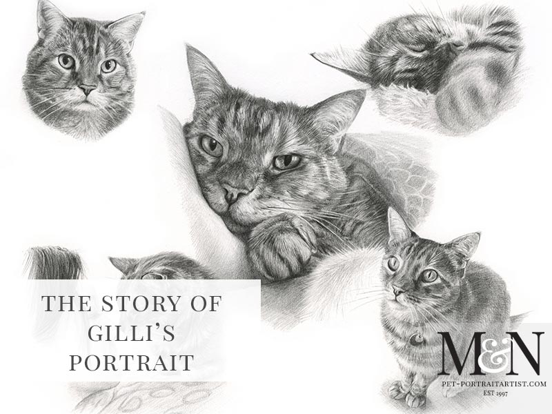 Cat Pencil Pet Portraits Montage
