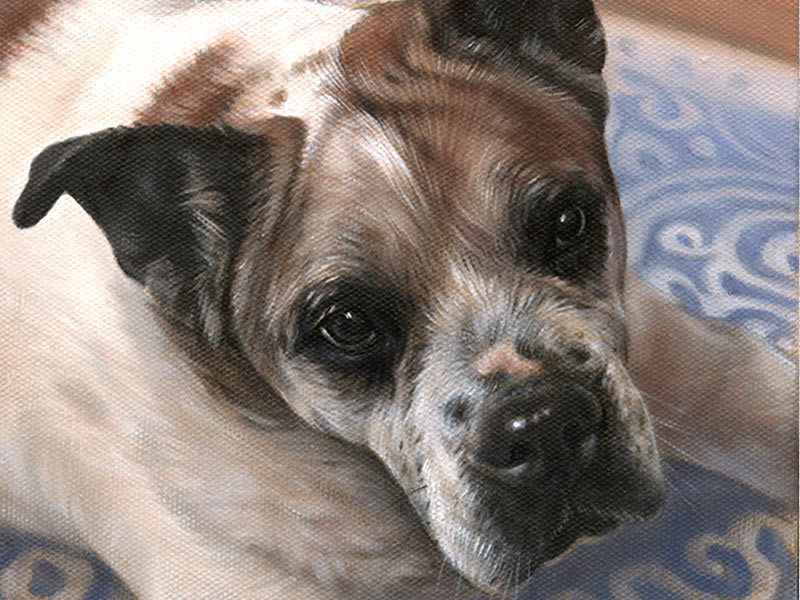 Oil Dog Portrait of Mr Bones