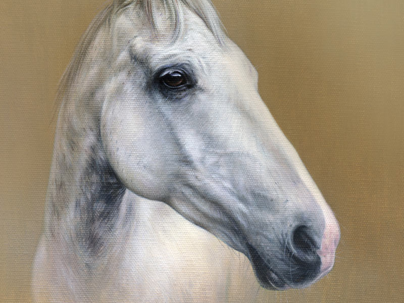 Horse Oil Painting of Artu