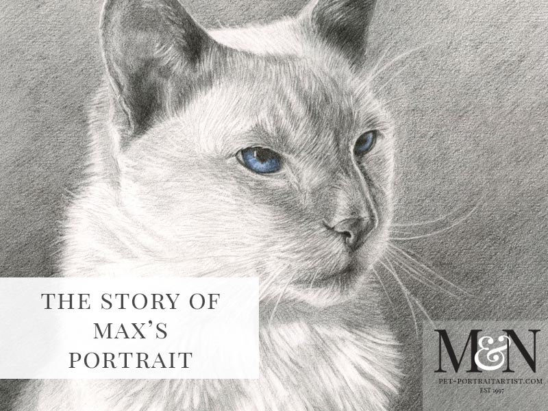 Cat Portrait of Max