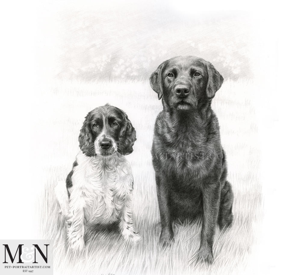 dog-pencil-portraits-1 - Melanie & Nicholas Pet Portraits