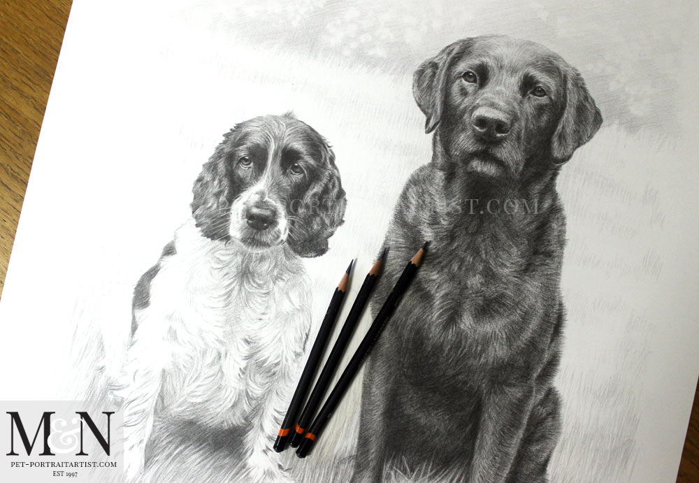 Pencil Pet Portraits of Stanley and Jarvis