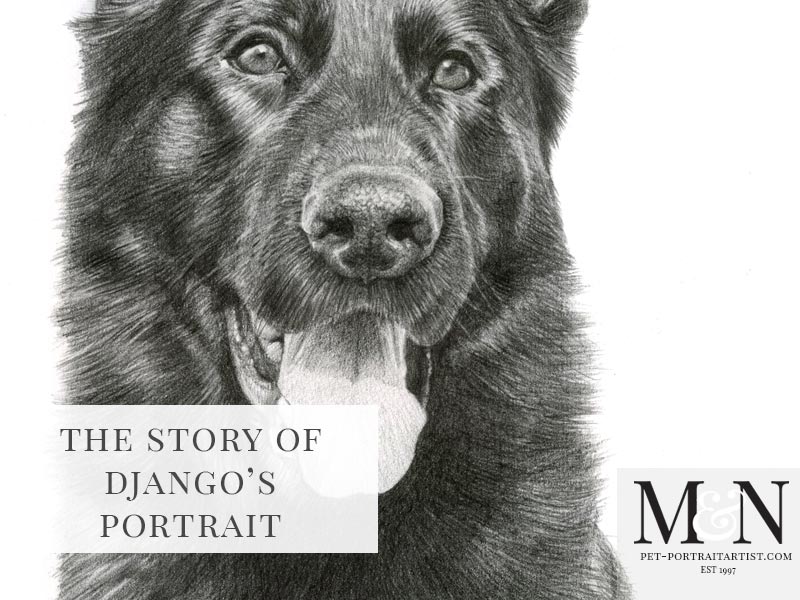 Dog Portrait of Django