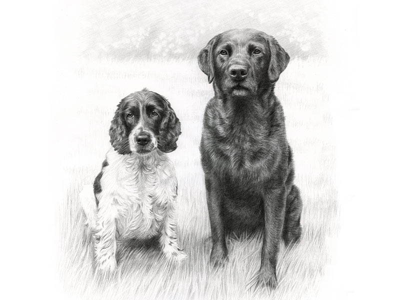 Pet Portrait of Stanley and Jarvis