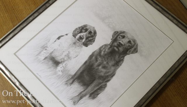 Double Dog Pencil Pet Portraits