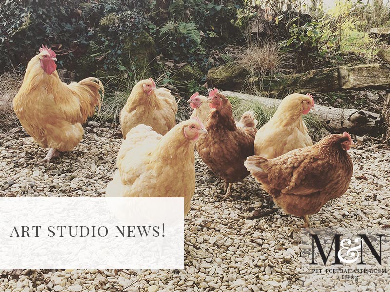 Chickens outside the studio