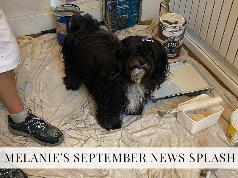 Melanie’s September News Splash