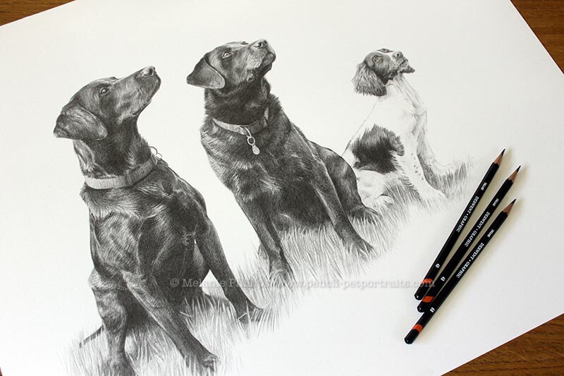 Three dog drawing