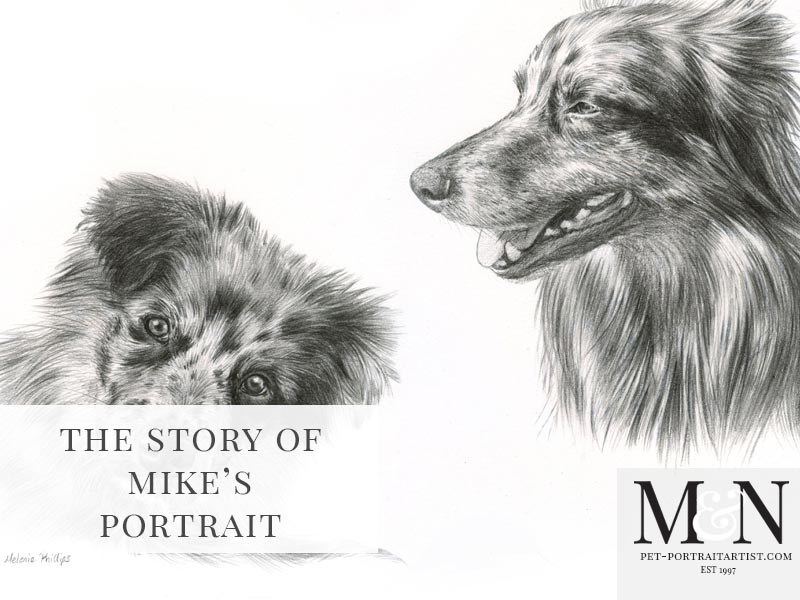Dog Pencil Drawing of Mike