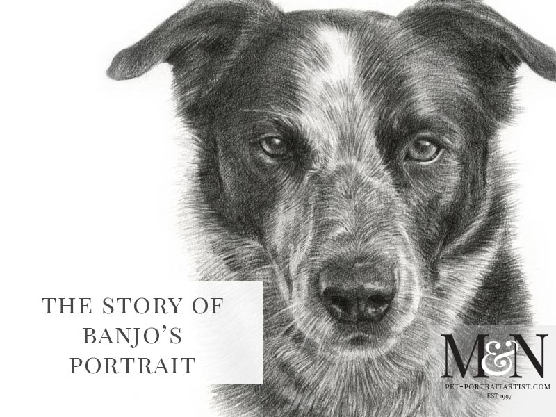 Pencil Portrait of Banjo