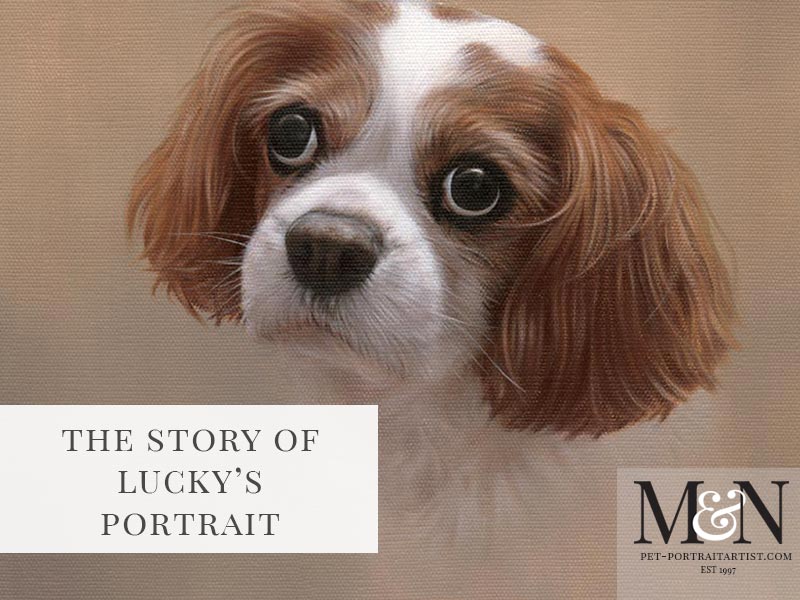 Oil Pet Portrait of Lucky