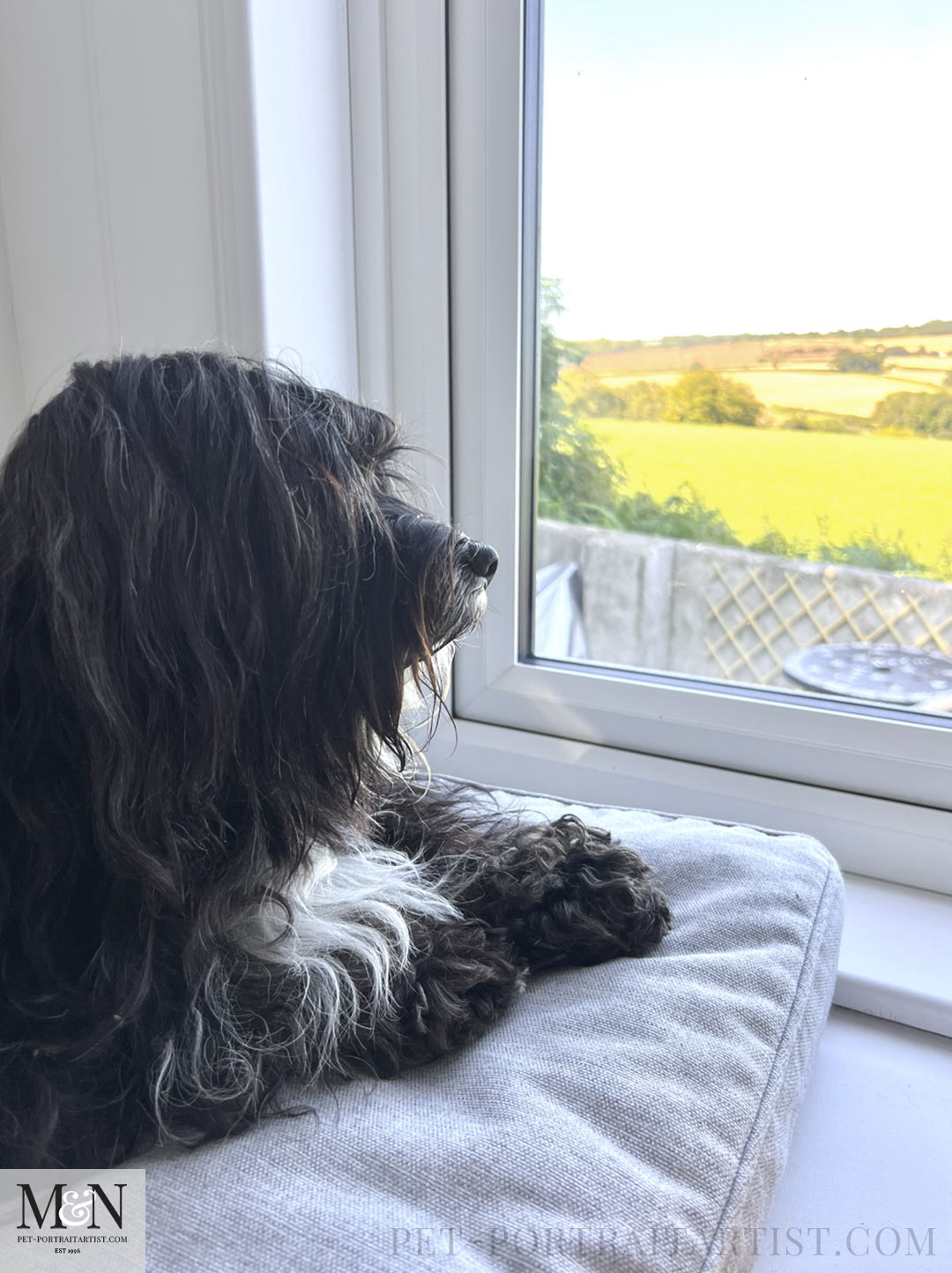 Lily Looking out of the window in the shepherds hut - Melanie's August Apologies