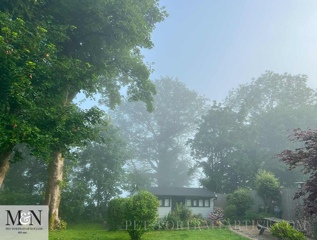 Misty Welsh garden