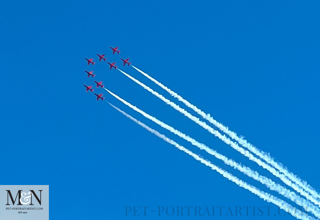 The red arrows