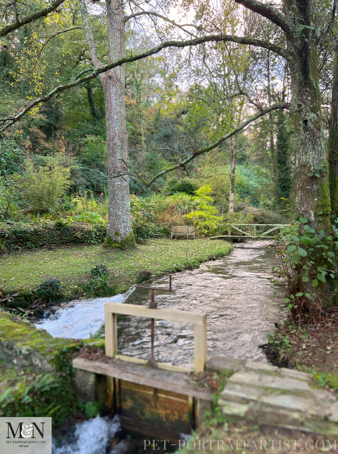 The river flowing outside the mill and the seat and mini bridge. Melanie's October Oracles