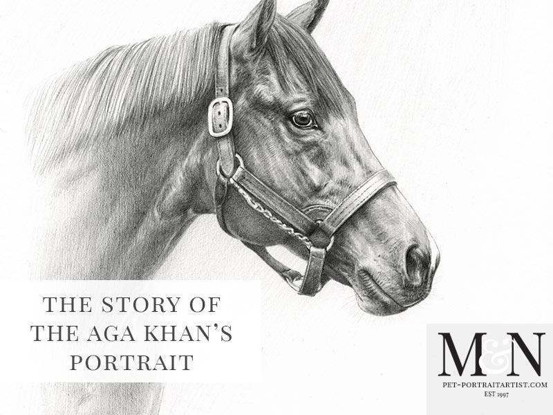 Siyouni The Aga Khans Stallion