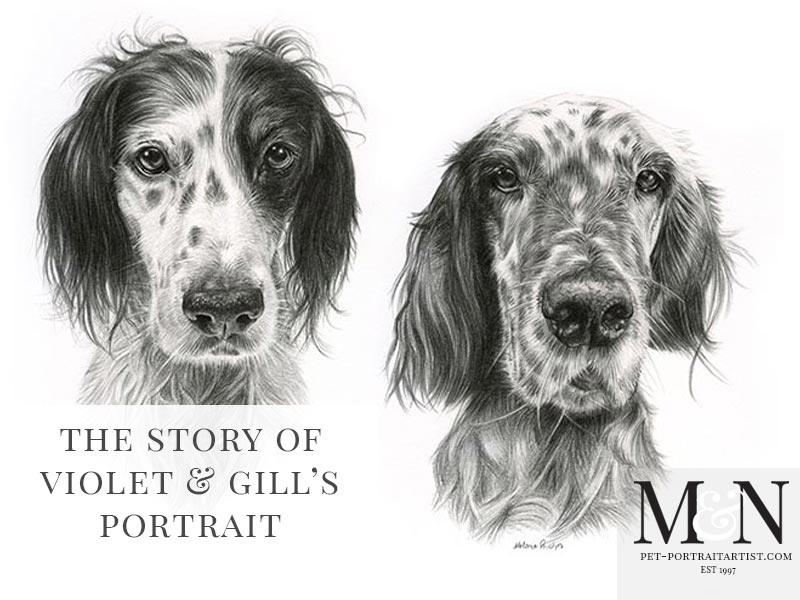 Pencil Drawing of English Setters