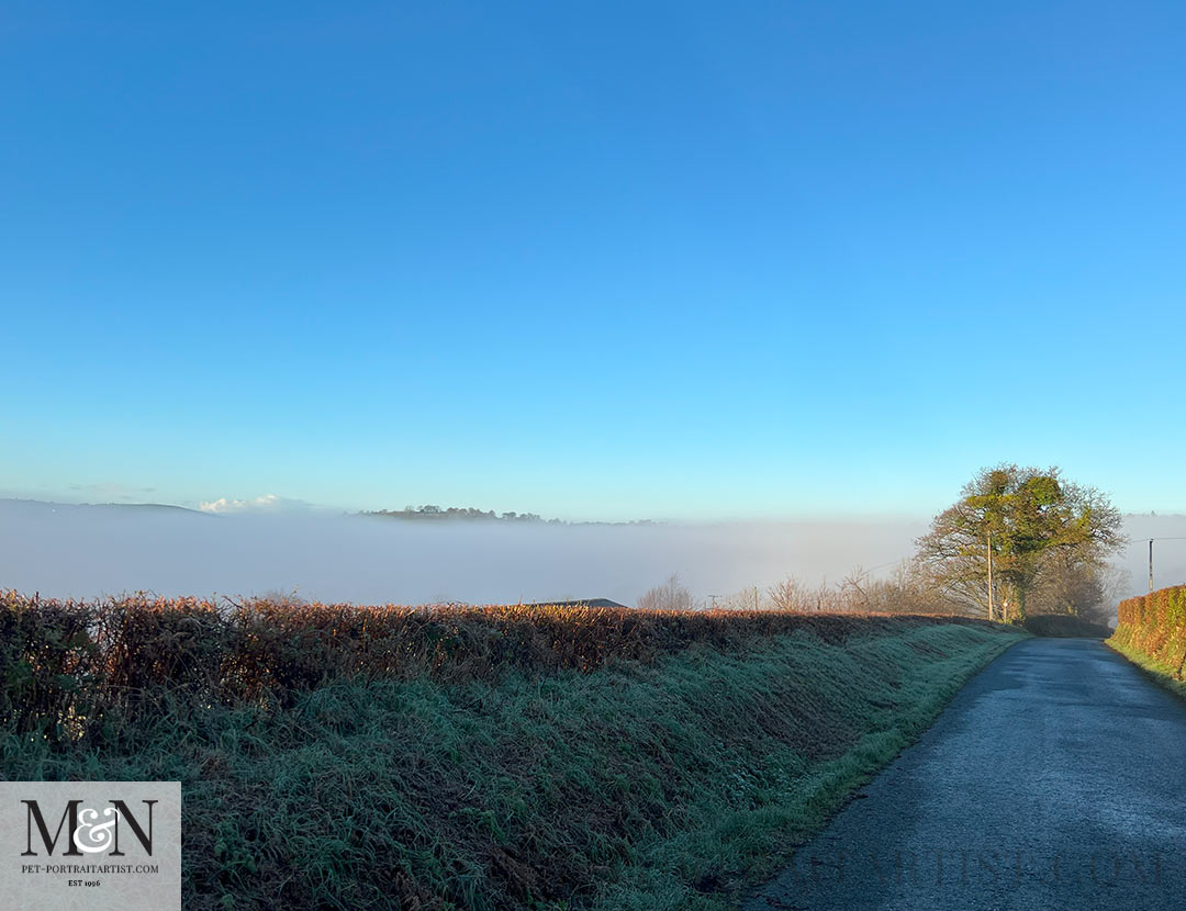 Misty Morning Melanie's December Delights