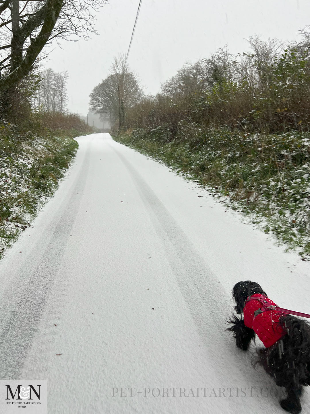 Snow along the lane in November