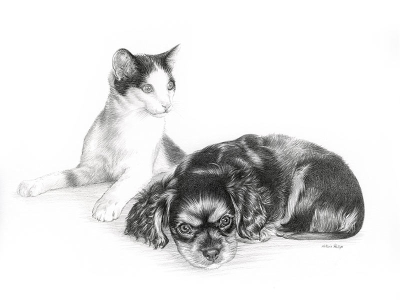 Ozie and Joey’s Pencil Portrait