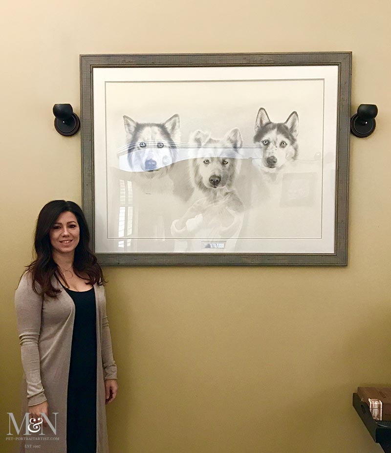 Husky Pencil Pet Portrait