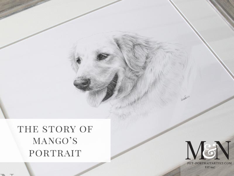 Pet Portrait of Mango