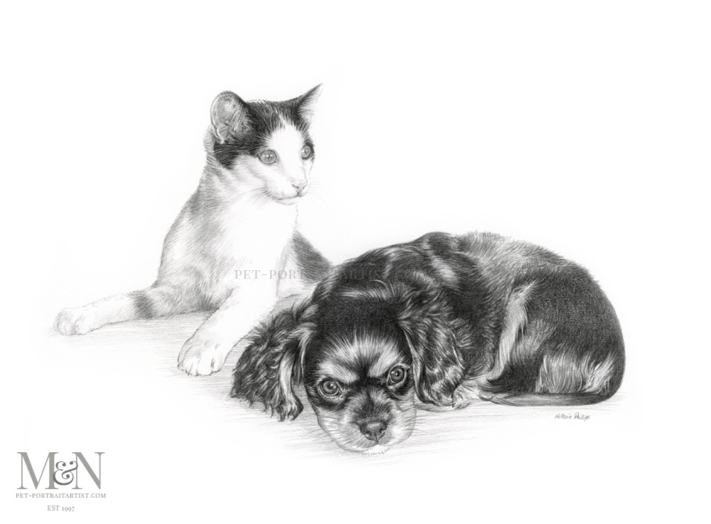 Ozie and Joey's Pencil Portrait