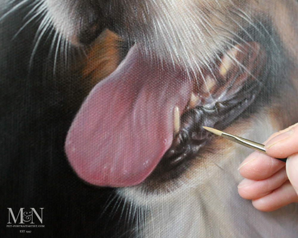 Close up of a pet portrait in oils