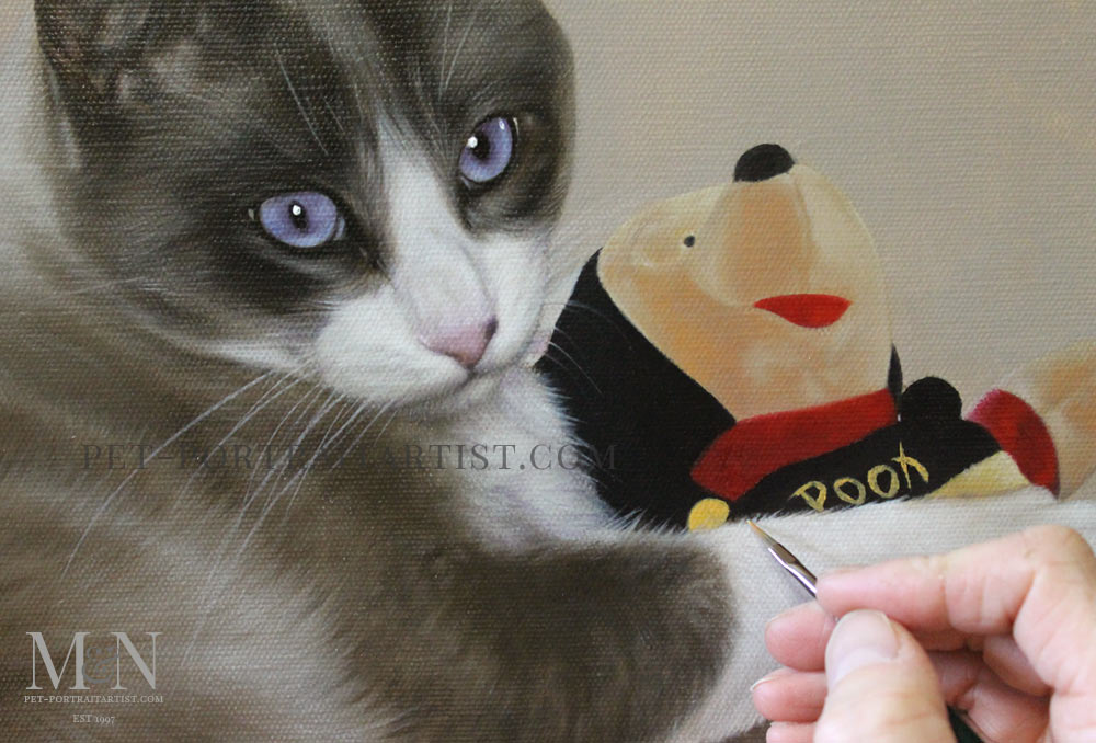 Cat Portrait of Frankie Blue Eyes