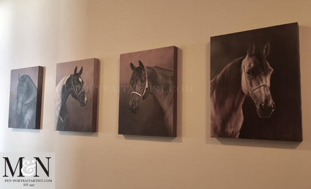 All of the horse oil paintings in Mariannes home