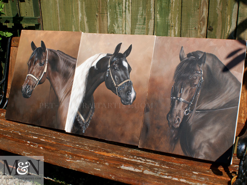 Previous Horse Portraits in Oils