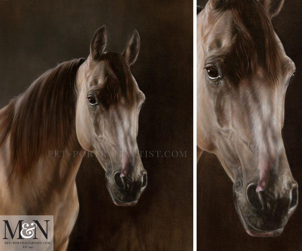 Horse Oil Painting of Remy