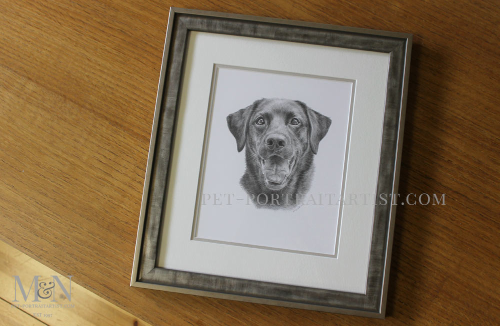 Drawing of Tess Framed
