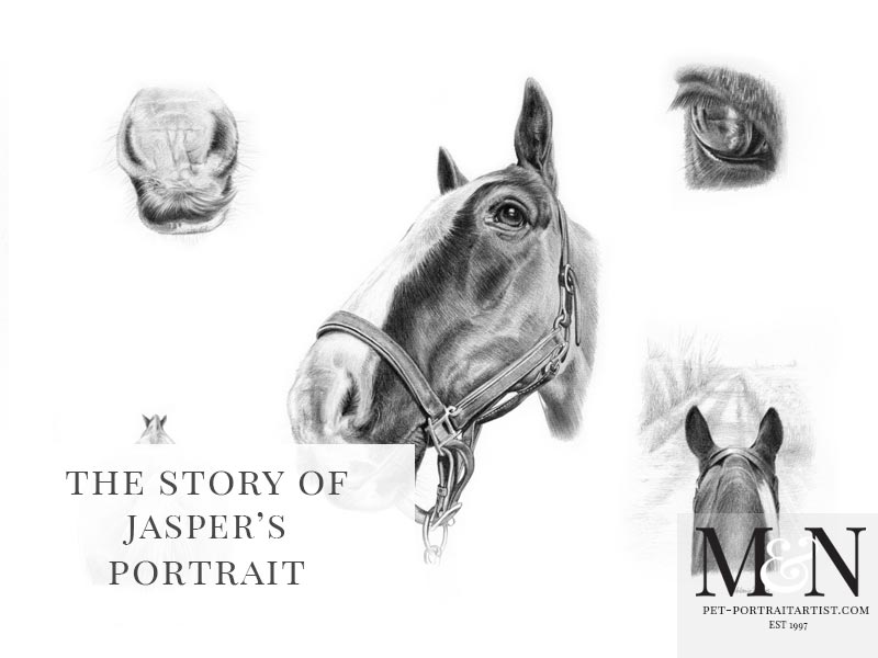 Horse Pet Portrait Montage