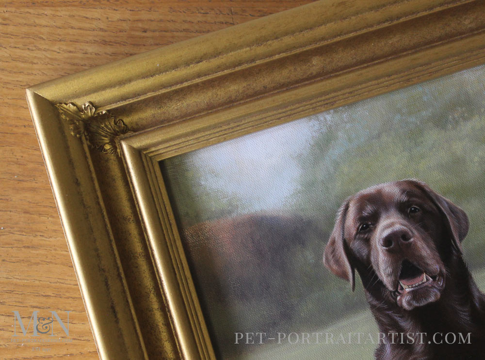 Oil Portrait of Maco, Rex & Rosie