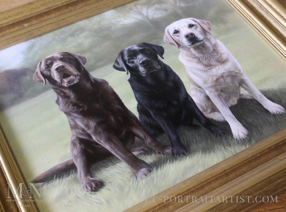 Triple Labrador Oil Portrait