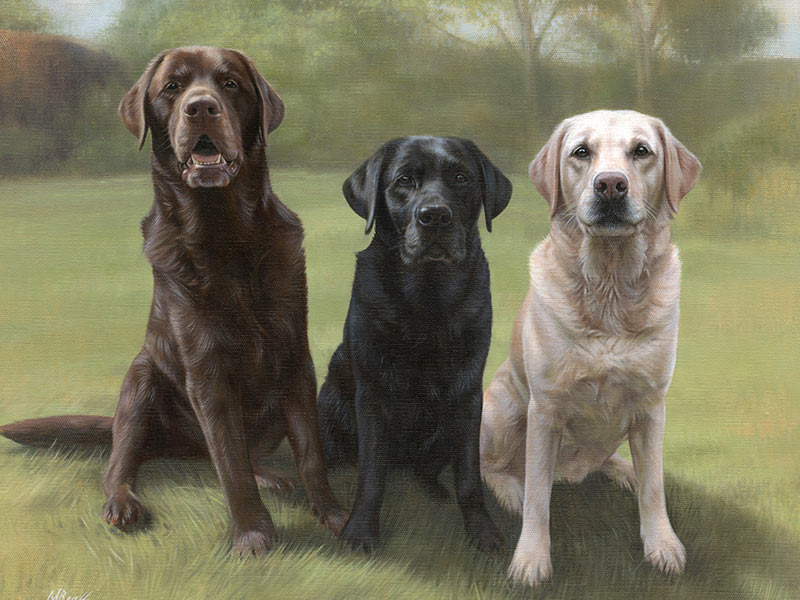 Triple Labrador Oil Portrait