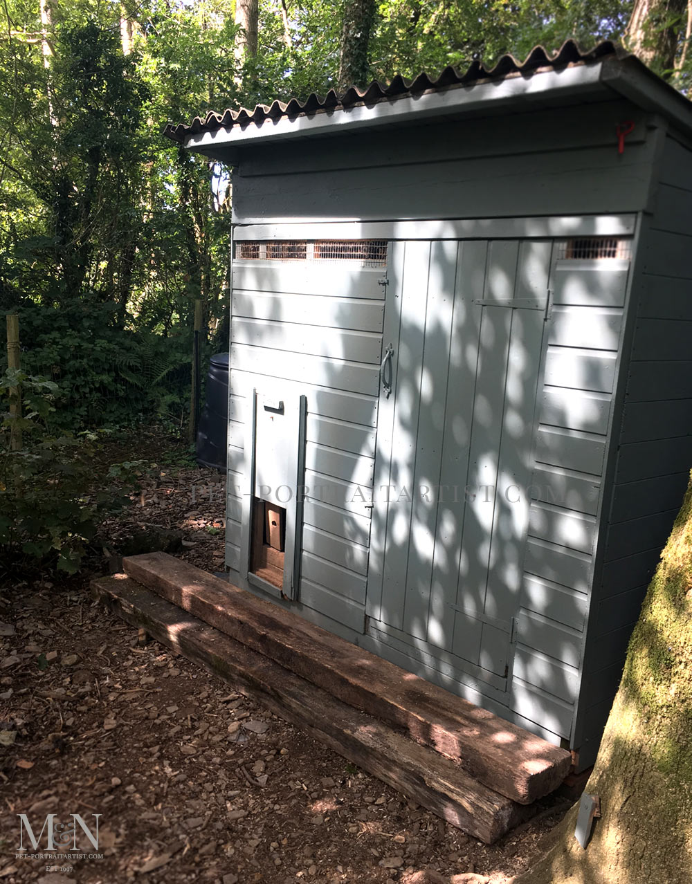 Extending the chicken shed