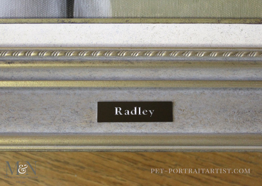 Horse Portrait of Radley