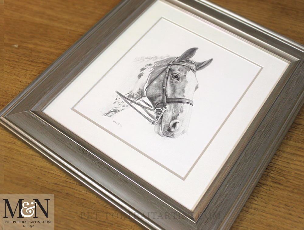 horse portrait framed