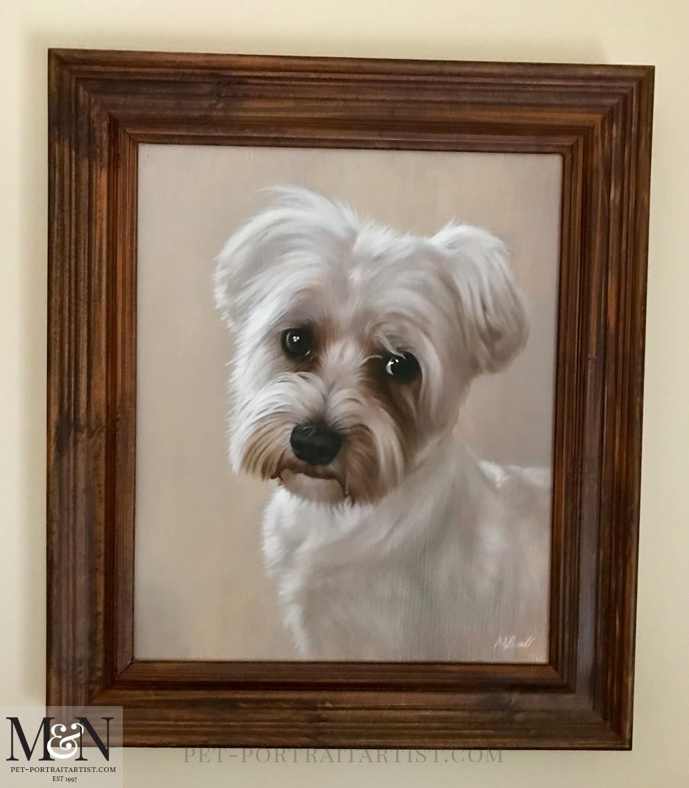 Dog Portrait of Leon framed