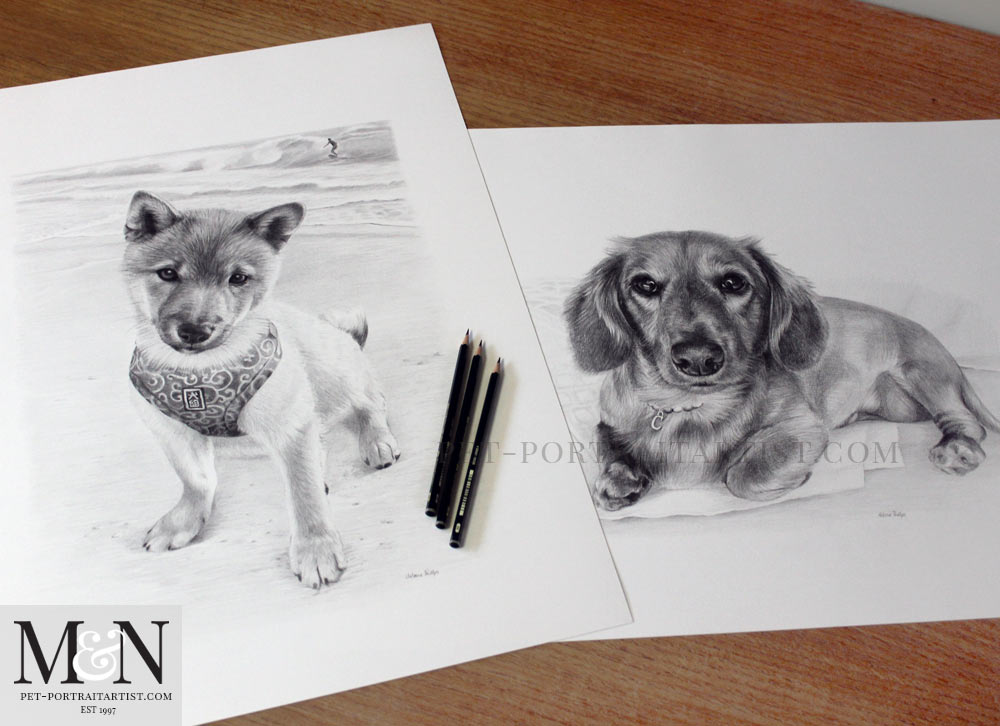 Two Pencil Pet Portraits 