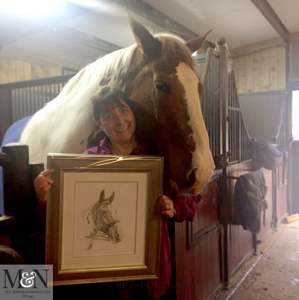 Horse Portrait Framed